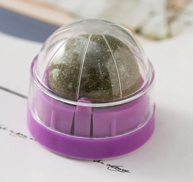 Balle Catnip Chat - Jouet Stimulant Herbe à Chat