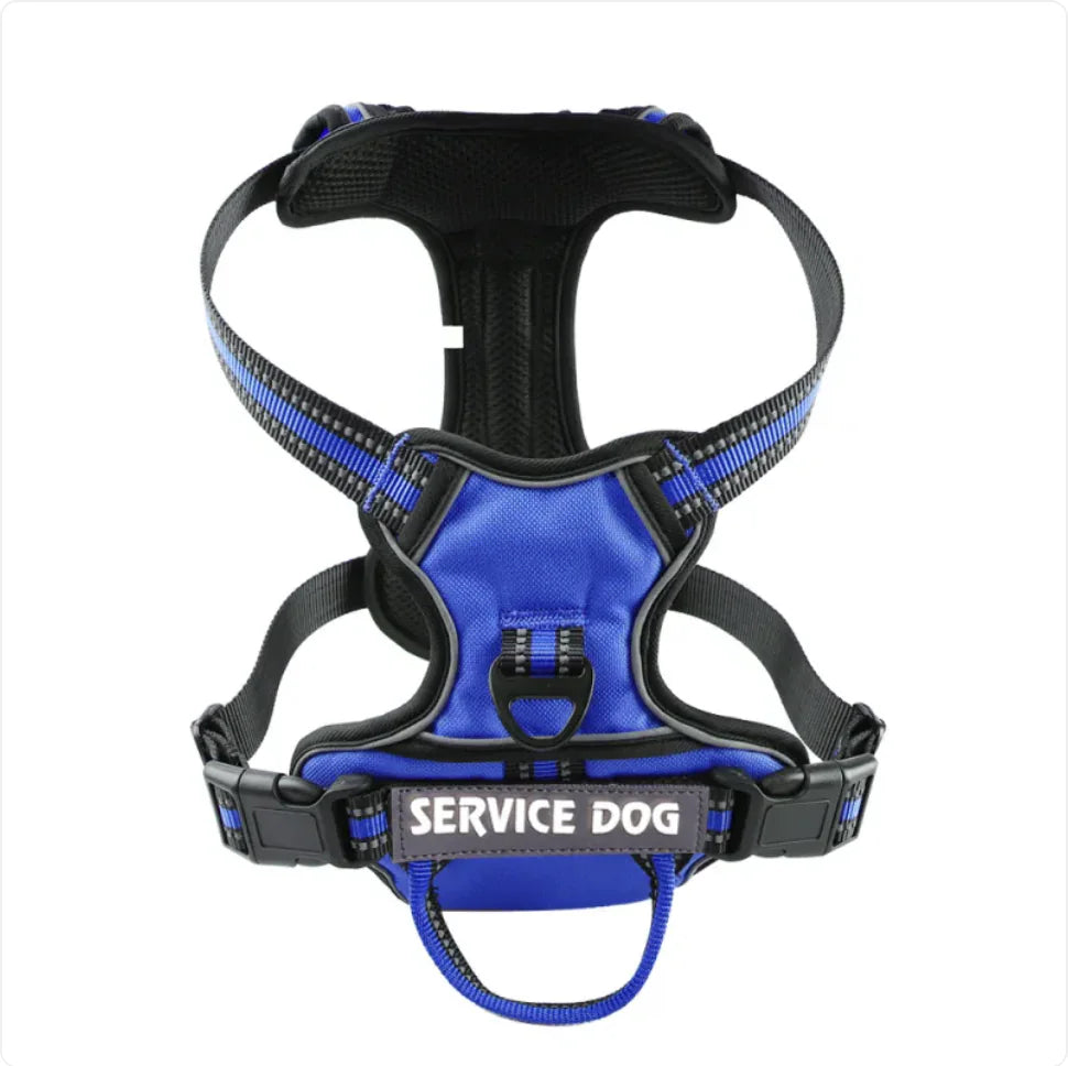 Harnais Chien Oxford Personnalisé - Confort et Sécurité