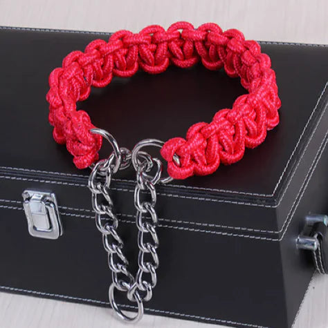Collier Cuir Premium Chien Moyen/Grand - Style Élégant