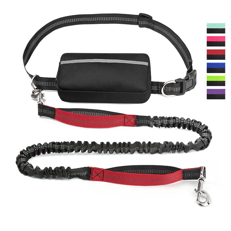 Sac de Taille pour Course avec Laisse pour Animaux de Compagnie sur Amazon