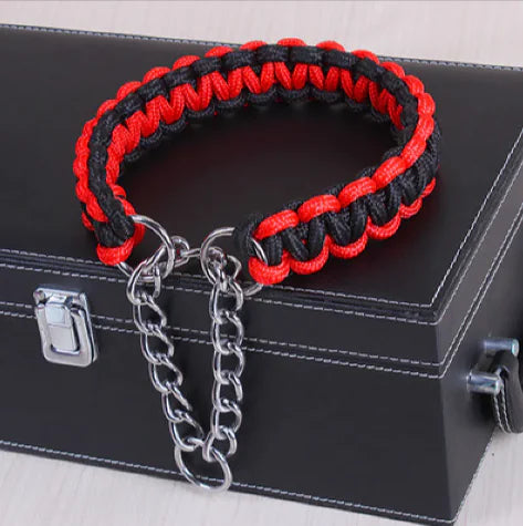 Collier Cuir Premium Chien Moyen/Grand - Style Élégant