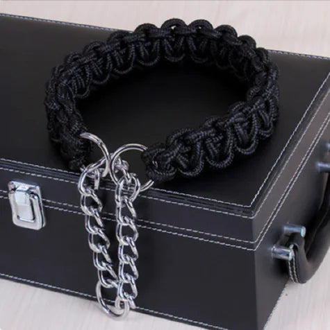 Collier Cuir Premium Chien Moyen/Grand - Style Élégant