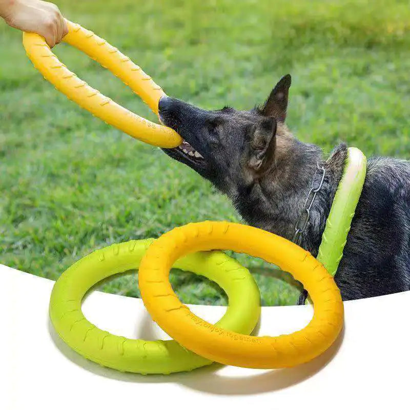 Jouet Flottant Interactif pour Chien - Anneau Tireur d'Entraînement