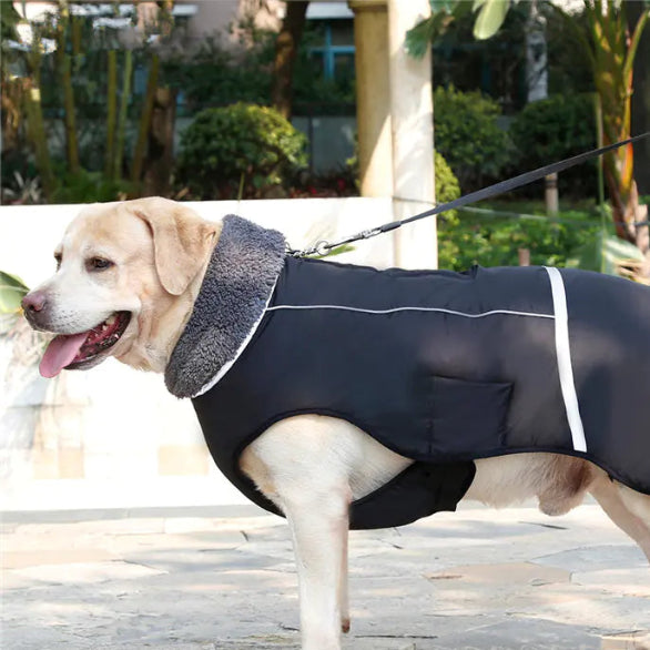 Gilet Chaud Épais pour Chiens