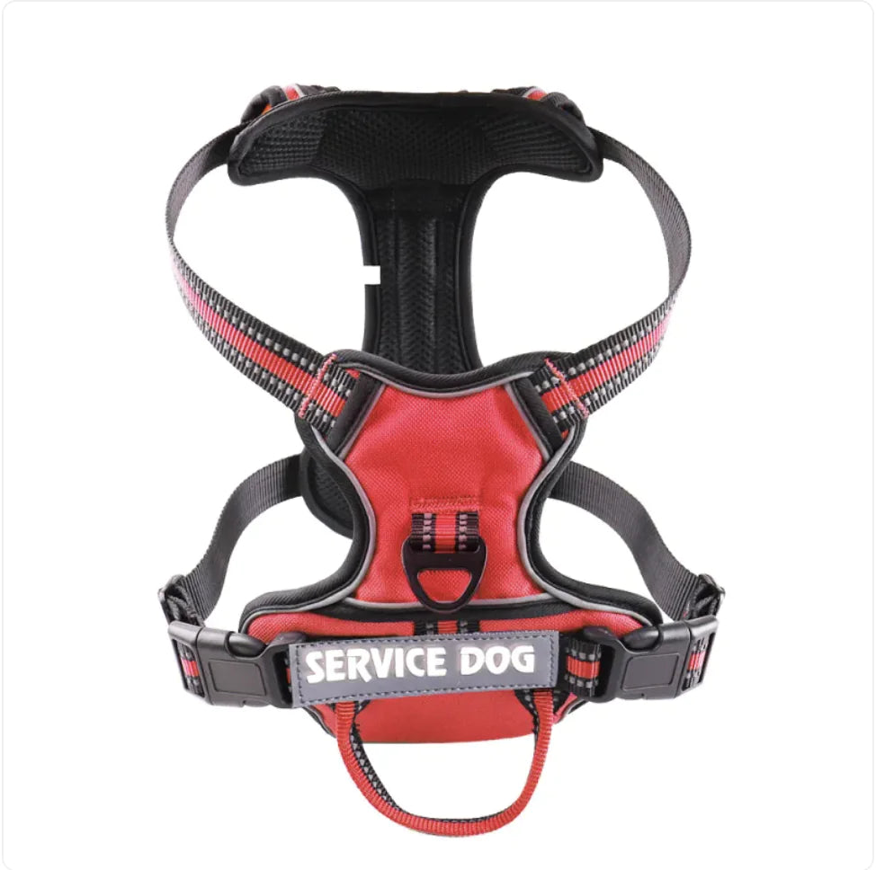 Harnais Chien Oxford Personnalisé - Confort et Sécurité