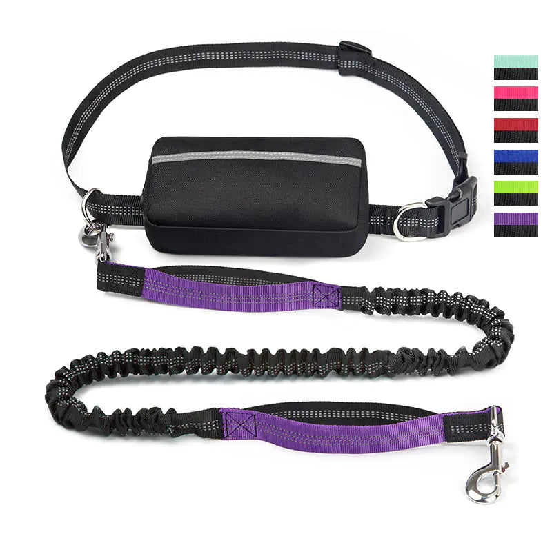 Sac de Taille pour Course avec Laisse pour Animaux de Compagnie sur Amazon