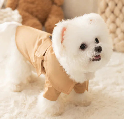 Imperméable Britannique pour Chiens - Vêtements d'Été pour Animaux