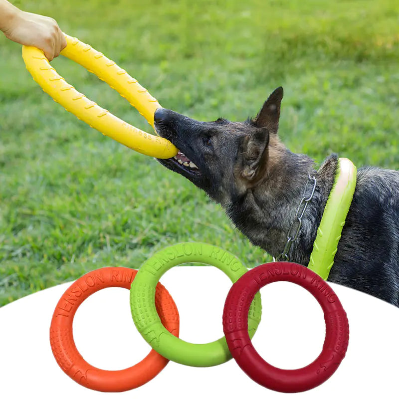 Jouet Flottant Interactif pour Chien - Anneau Tireur d'Entraînement