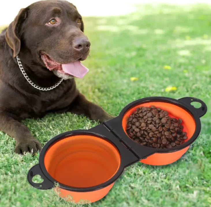 Bol Pliant Silicone Chien - Portable Voyage Extérieur