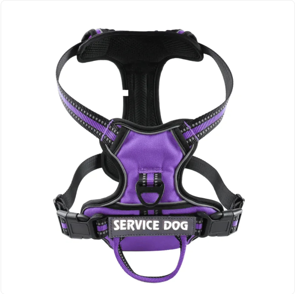 Harnais Chien Oxford Personnalisé - Confort et Sécurité