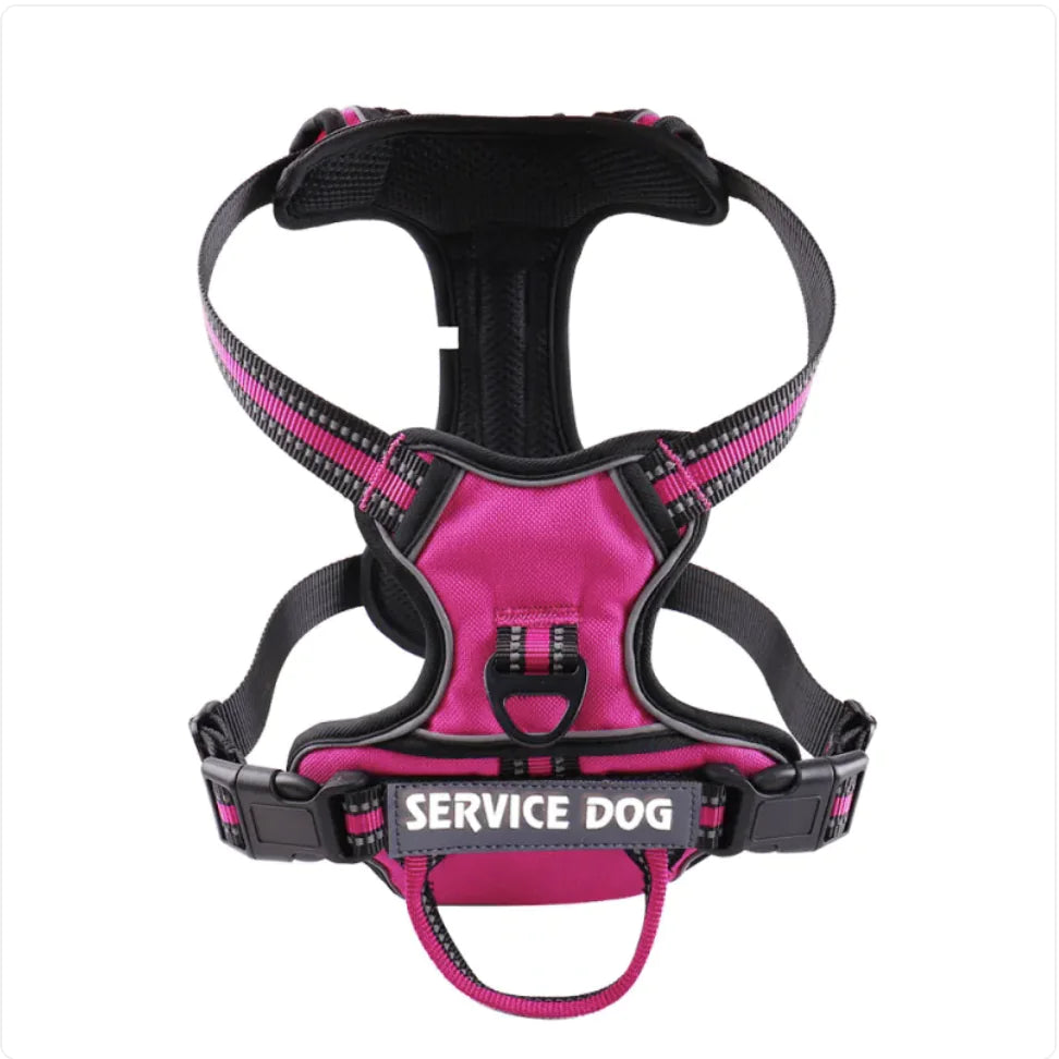 Harnais Chien Oxford Personnalisé - Confort et Sécurité