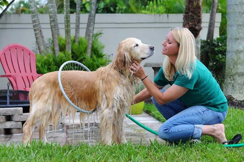 Anneau de bain pour chien avec pistolet à eau circulaire