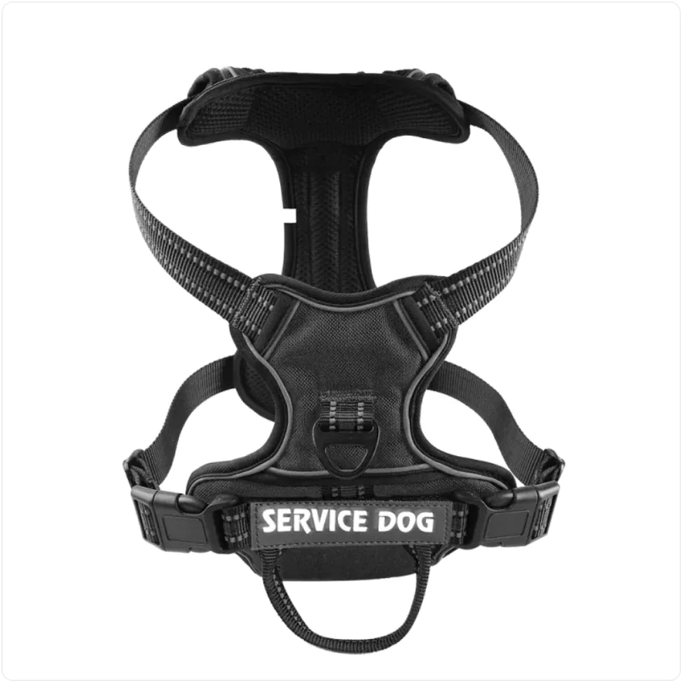 Harnais Chien Oxford Personnalisé - Confort et Sécurité