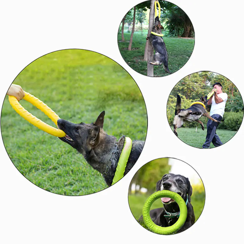 Jouet Flottant Interactif pour Chien - Anneau Tireur d'Entraînement