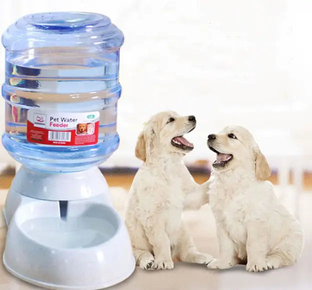 Distributeur Automatique de Nourriture et d'Eau pour Chats