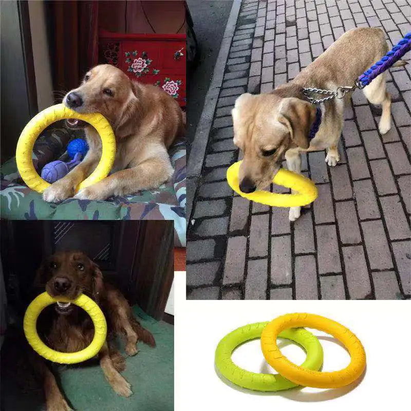 Jouet Flottant Interactif pour Chien - Anneau Tireur d'Entraînement