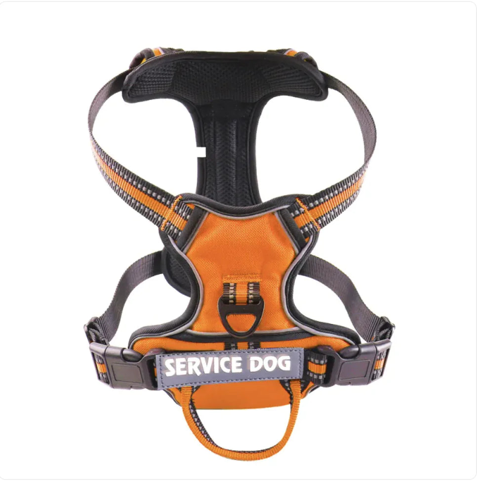 Harnais Chien Oxford Personnalisé - Confort et Sécurité