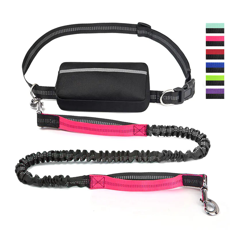 Sac de Taille pour Course avec Laisse pour Animaux de Compagnie sur Amazon