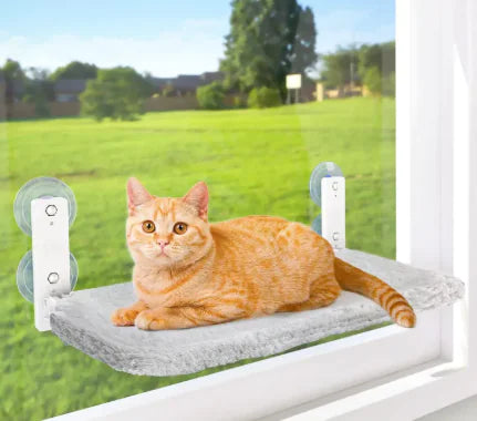 Hamac Pliant Sans Fil pour Chat - Confort Premium Portable