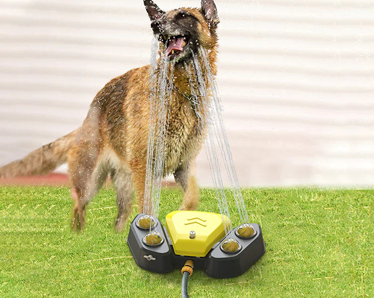 Fontaine à Eau Automatique pour Chats et Chiens