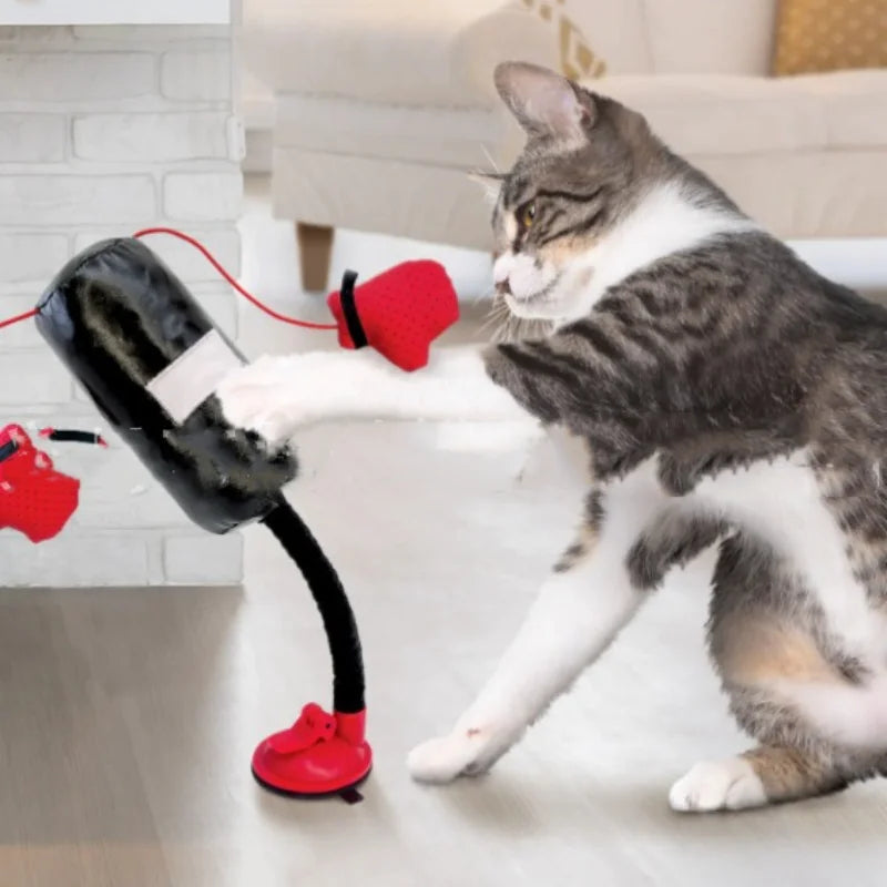 Jouet Boxe Chat Silicone - Stimulation Interactive