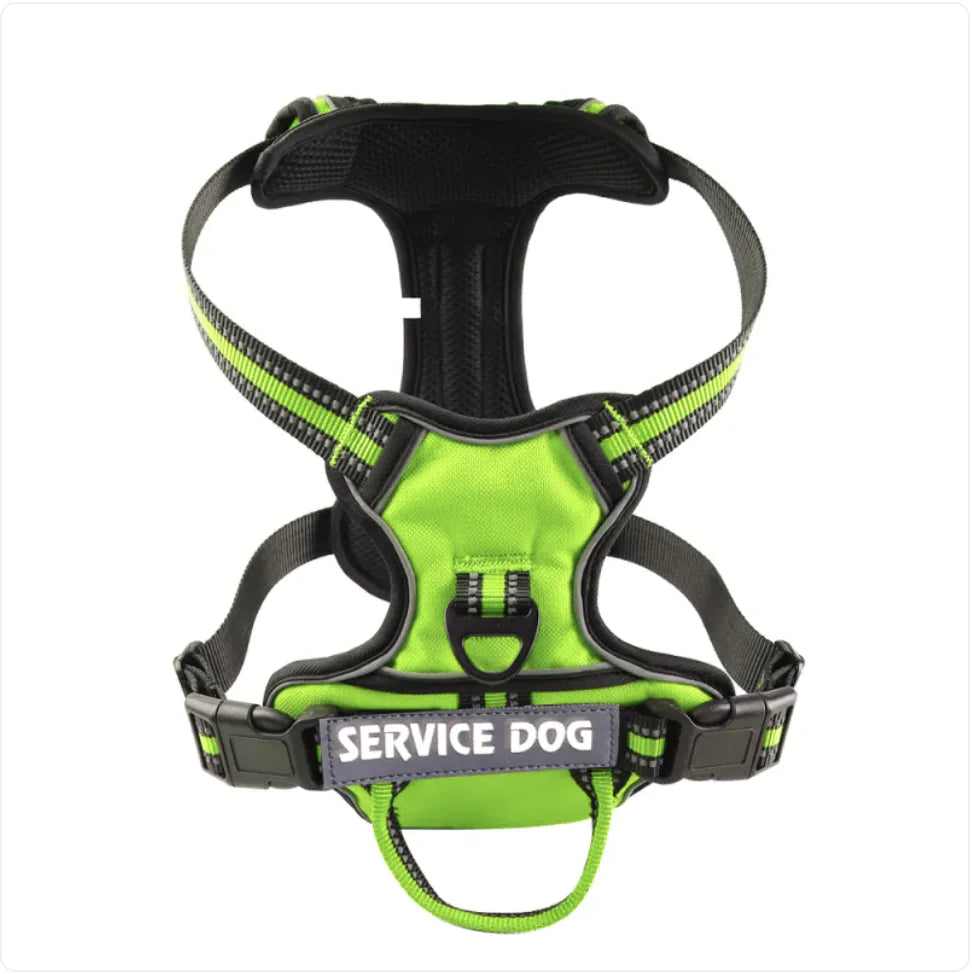 Harnais Chien Oxford Personnalisé - Confort et Sécurité